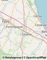 Erboristerie Gambettola,47035Forlì-Cesena