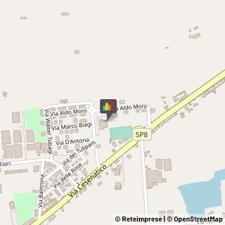 Impianti Sportivi,47042Forlì-Cesena