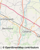 Fabbri Bertinoro,47032Forlì-Cesena