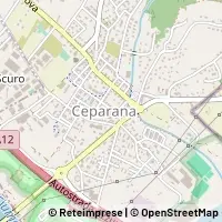 Map Bolano