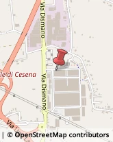 Via Delle Pesche, 941,47522Cesena