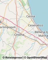 Legna da ardere Cesenatico,47042Forlì-Cesena