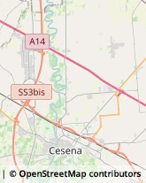 Traduttori ed Interpreti Cesena,47521Forlì-Cesena