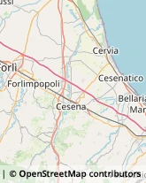 Traduttori ed Interpreti Forlimpopoli,47034Forlì-Cesena