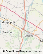 Lavoro Interinale Cesena,47522Forlì-Cesena