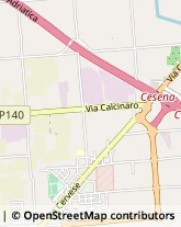 Internet - Provider Cesena,47522Forlì-Cesena