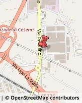 Via Arrigoni, 256,47023Cesena