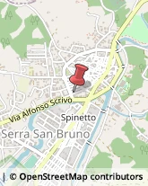 Corso Vittorio Emanuele III, 28,89822Serra San Bruno