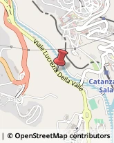 Viale Lucrezia della Valle, 29,88100Catanzaro