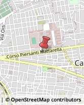 Corso Piersanti Mattarella, 150,91100Trapani