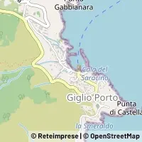 Kort Isola del Giglio