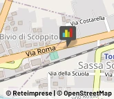 Vivai Piante e Fiori,67100L'Aquila