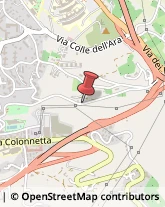 Via Fulgenzio la Valle, 50,66100Chieti