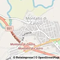 Kort Montalto di Castro