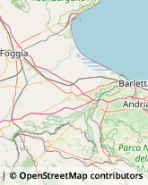 Ricevimenti e Banchetti Canosa di Puglia,76012Barletta-Andria-Trani