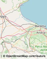 Cartolerie Canosa di Puglia,70053Barletta-Andria-Trani