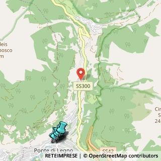 Mappa Via Valle Delle Messi, 25056 Ponte di legno BS, Italia (1.71917)