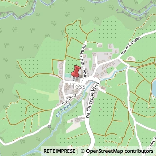 Mappa Via Damiano Chiesa, 6, 38010 Ton, Trento (Trentino-Alto Adige)