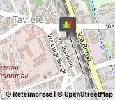 Autotrasporti Gemona del Friuli,33013Udine