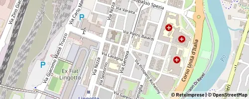 Mappa Turin