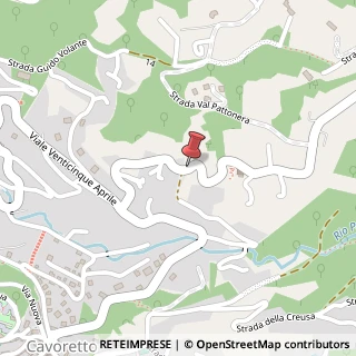 Mappa Strada Comunale Val Pattonera, 117, 10133 Torino, Torino (Piemonte)