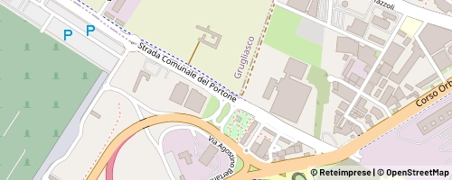 Mappa Turin
