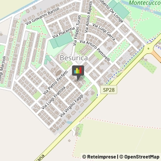 Istituti di Bellezza Piacenza,29121Piacenza