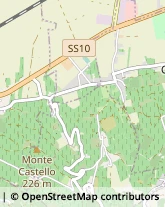 Frazione Valle Botta, 117,27040Castelletto di Branduzzo