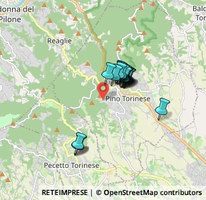 Mappa Strada Pietra del Gallo, 10025 Pino Torinese TO, Italia (1.103)