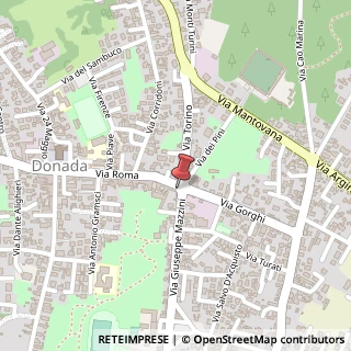 Mappa Via Giuseppe Mazzini, 245, 45014 Porto Viro, Rovigo (Veneto)
