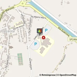 Otorinolaringoiatria - Medici Specialisti Trecenta,45027Rovigo