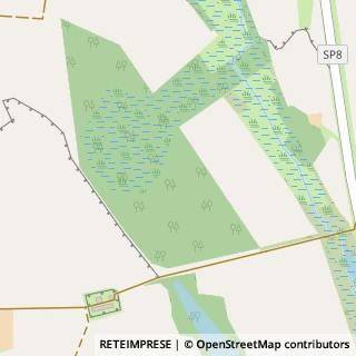 Riserve Naturali e Parchi Torricella del Pizzo,26040Cremona