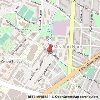 Mappa Via Francesco Gonin, 5, 10137 Torino, Torino (Piemonte)