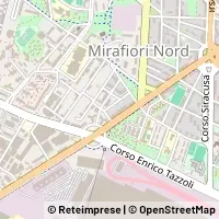 Peta Torino