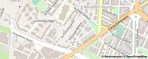 Mappa Torino