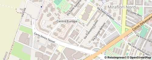 Mappa Torino