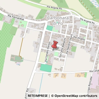 Mappa Piazza Vittorio Emanuele II, 14, 46020 Carbonara di Po, Mantova (Lombardia)