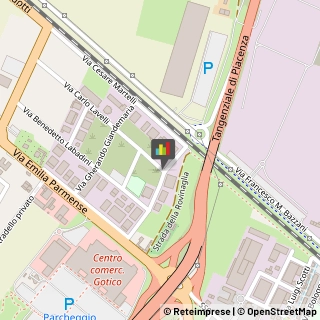 Impianti Sportivi,29122Piacenza