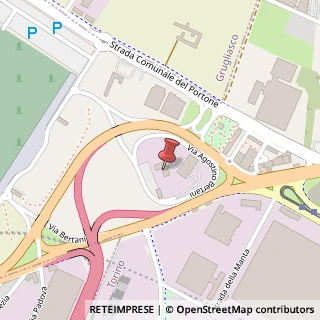 Mappa Via Agostino Bertani, 41, 10137 Torino, Torino (Piemonte)