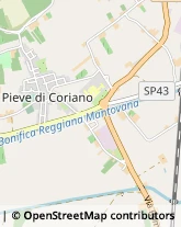 Elettrauto Revere,46036Mantova