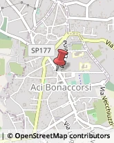 Piazza Bellini, 6,95020Aci Bonaccorsi