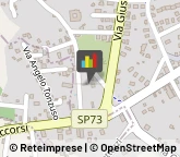 Autofficine e Centri Assistenza,95020Catania