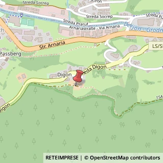 Mappa Via Digon, 21, 39040 Castelrotto, Bolzano (Trentino-Alto Adige)