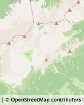 Aziende Agricole Ultimo,39016Bolzano