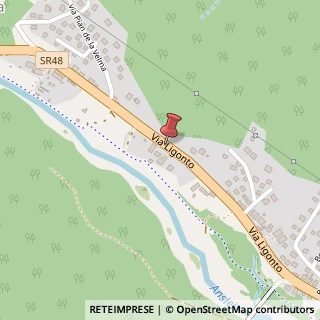 Mappa Via Ligonto, 13-15, 32041 Auronzo di Cadore, Belluno (Veneto)
