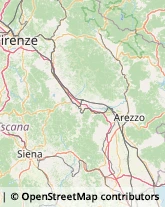 Rosticcerie e Salumerie Gaiole in Chianti,53013Siena