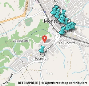Mappa Via Trebbia, 52025 Montevarchi AR, Italia (0.558)