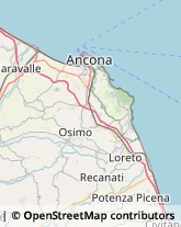 Elettrauto Ancona,60125Ancona