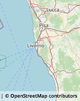 Articoli da Regalo - Dettaglio Livorno,57128Livorno