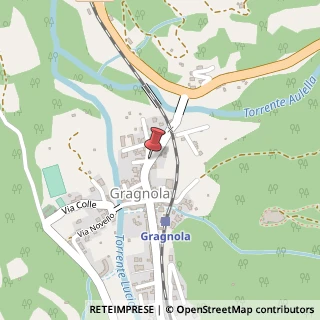 Mappa Via Nuova, 16, 54013 Fivizzano, Massa-Carrara (Toscana)